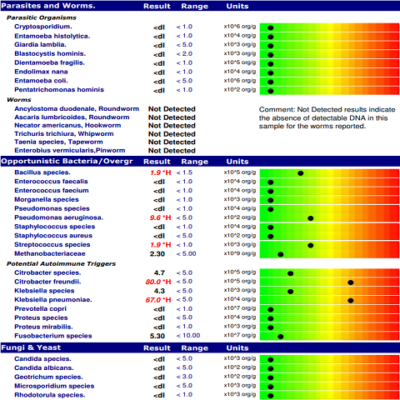 Complete Microbiome Mapping - Qualified Naturopath and Herbalist: Julie 