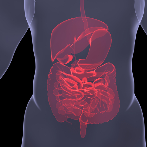 genova diagnostics comprehensive digestive stool analysis